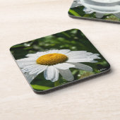 een margriet, groene achtergrond onderzetter (Linkerzijde)