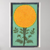 Een Marigold, van het Kleine Album Clive Poster (Voorkant)