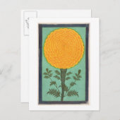 Een Marigold, van het Kleine Album Clive (w/c op p Briefkaart (Voorkant / Achterkant)