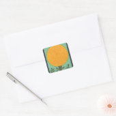Een Marigold, van het Kleine Album Clive (w/c op p Vierkante Sticker (Envelop)