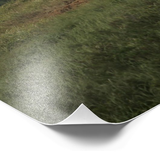 Een marinier scoort een directe hit foto afdruk (Hoek)