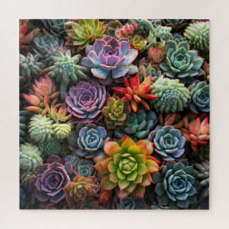 Een massa vetplanten legpuzzel