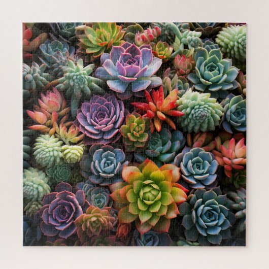 Een massa vetplanten legpuzzel (Verticaal)