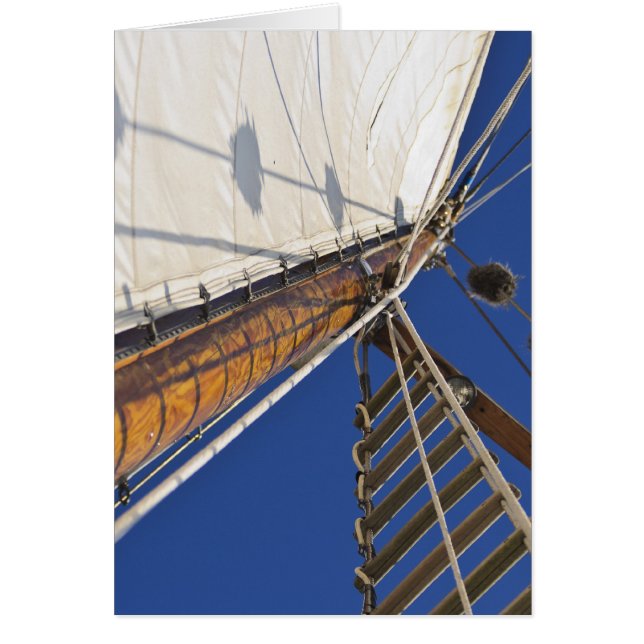 Een mast van perspectief (Voorkant)