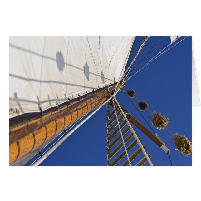 Een mast van perspectief (Voorkant Horizontaal)