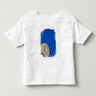 Een mediterrane citroen kinder shirts