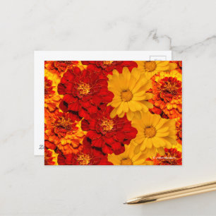 Een Medley van de Rode Gele en Oranje Marigolds Briefkaart