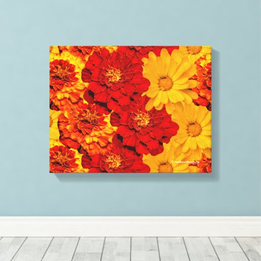 Een Medley van de Rode Gele en Oranje Marigolds Canvas Afdruk (Insitu (Houten vloer))