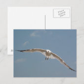 Een meeuw die in de lucht vliegt briefkaart (Voorkant / Achterkant)