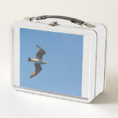 Een meeuw op lunchboxen   (Voorkant)