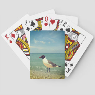 Een meeuw pokerkaarten
