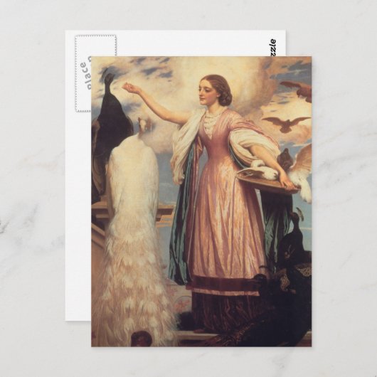 Een meisje dat pacocks voedt briefkaart (Voorkant / Achterkant)