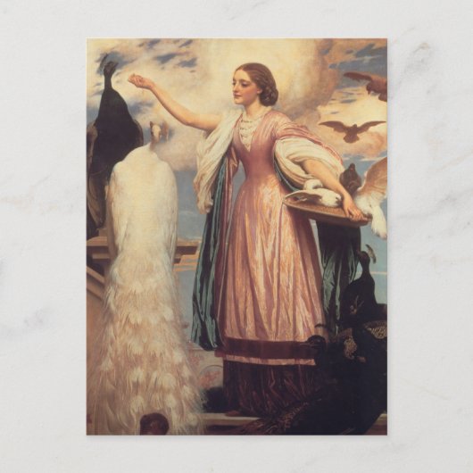 Een meisje dat pacocks voedt briefkaart (Voorkant)