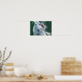 Een meisje en een wit paard | POSTER (Keuken)