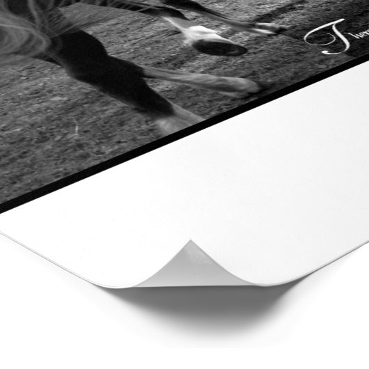 Een meisje en haar paard poster (Hoek)