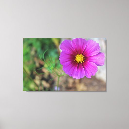 Een melkweg binnen een Bloem Canvas Afdruk (Voorkant)