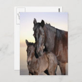 Een merg en haar baby foel briefkaart (Voorkant / Achterkant)