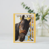 Een merkwaardig paard dat door een keukenvenster k briefkaart (Staand voorkant)