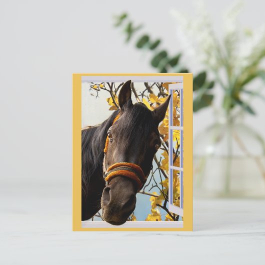 Een merkwaardig paard dat door een keukenvenster k briefkaart (Staand voorkant)