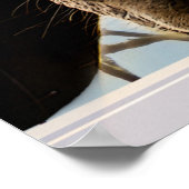 Een merkwaardig paard dat door een keukenvenster k poster (Hoek)