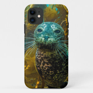 Een merkwaardig zeebraseal Kelp bos Santa Barbar iPhone 11 Hoesje