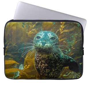 Een merkwaardig zeebraseal Kelp bos Santa Barbar Laptop Sleeve