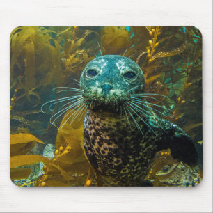 Een merkwaardig zeebraseal Kelp bos Santa Barbar Muismat
