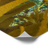Een merkwaardig zeebraseal Kelp bos | Santa Barbar Poster (Hoek)