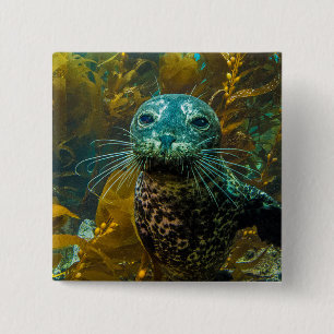 Een merkwaardig zeebraseal Kelp bos Santa Barbar Vierkante Button 5,1 Cm
