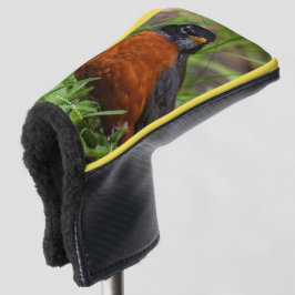 Een merkwaardige Amerikaanse Robin in de gras Golfheadcover