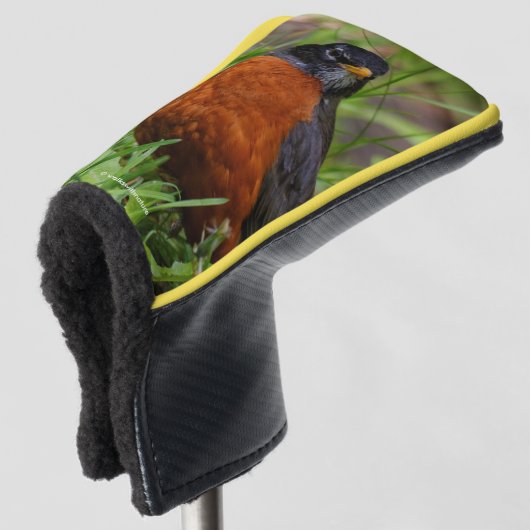 Een merkwaardige Amerikaanse Robin in de gras Golfheadcover (3/4 voorkant)