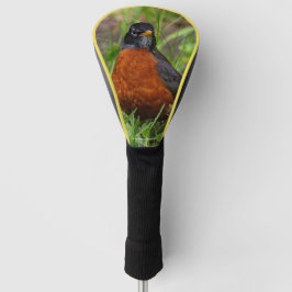 Een merkwaardige Amerikaanse Robin in de gras Golfheadcover