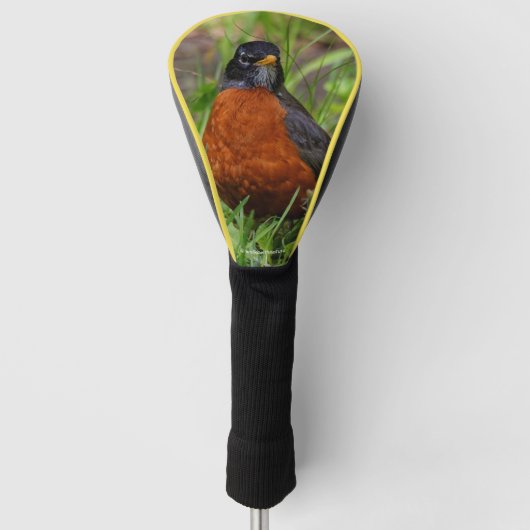 Een merkwaardige Amerikaanse Robin in de gras Golfheadcover (Voorkant)