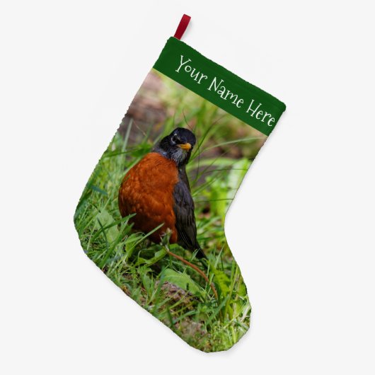 Een merkwaardige Amerikaanse Robin in de gras Grote Kerstsok (Voorkant (Hangend))
