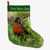 Een merkwaardige Amerikaanse Robin in de gras Grote Kerstsok (Voorkant)