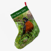 Een merkwaardige Amerikaanse Robin in de gras Grote Kerstsok (Achterkant (Hangend))