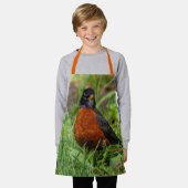 Een merkwaardige Amerikaanse Robin in de gras Schort (Gedragen)