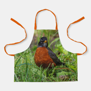 Een merkwaardige Amerikaanse Robin in de gras Schort