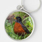 Een merkwaardige Amerikaanse Robin in de gras Sleutelhanger (Voorkant)