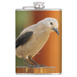 Een merkwaardige Clark's Nutkraker Heupfles