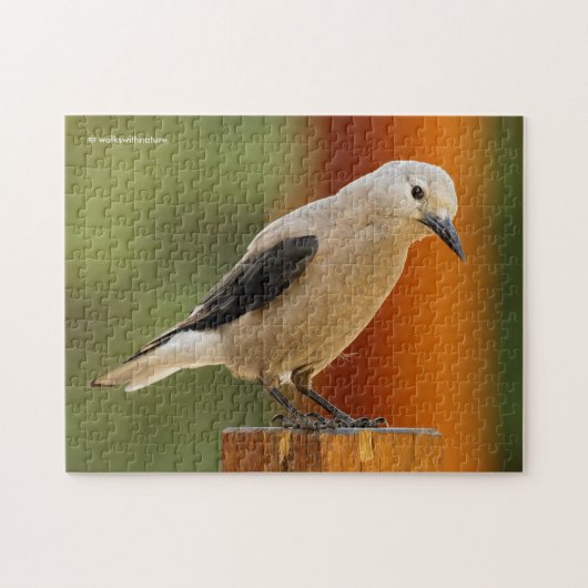 Een merkwaardige Clark's Nutkraker Legpuzzel (Horizontaal)