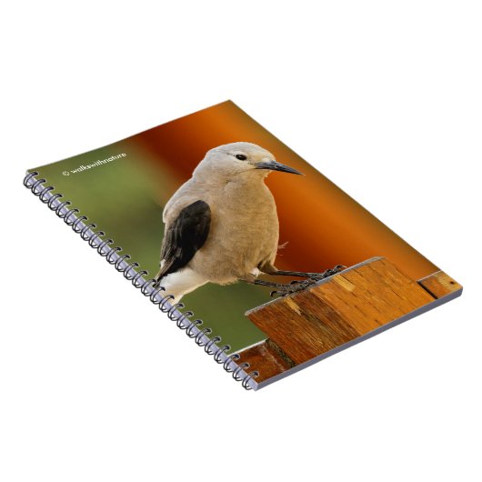 Een merkwaardige Clark's Nutkraker Notitieboek (Rechterzijde)