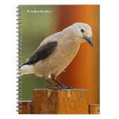 Een merkwaardige Clark's Nutkraker Notitieboek (Voorkant)