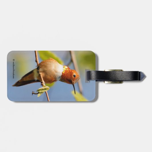 Een merkwaardige kolibrie bagagelabel (Achterkant horizontaal)