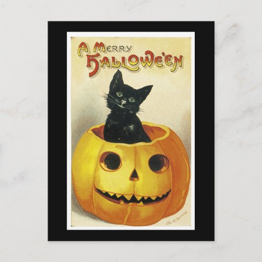 Een Merry Haloween Kitten Feestdagenkaart (Voorkant)