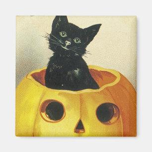 Een Merry Haloween Kitten Magneet