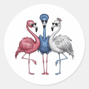 Een met drie unieke flamingo's die heel ronde sticker