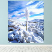 Een met sneeuw bedekte yucca canvas afdruk (Insitu (Houten vloer))