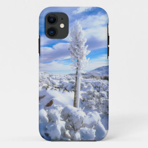 Een met sneeuw bedekte yucca iPhone 11 hoesje