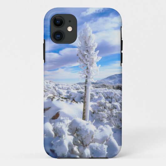 Een met sneeuw bedekte yucca Case-Mate iPhone case (Achterkant)